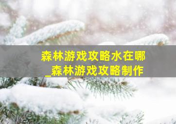 森林游戏攻略水在哪_森林游戏攻略制作